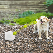 Dog Ball Launcher Thrower Automatic Tennis Fetch Throwing Machine 3 Balls V63-836951