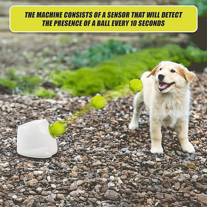 Dog Ball Launcher Thrower Automatic Tennis Fetch Throwing Machine 3 Balls V63-836951