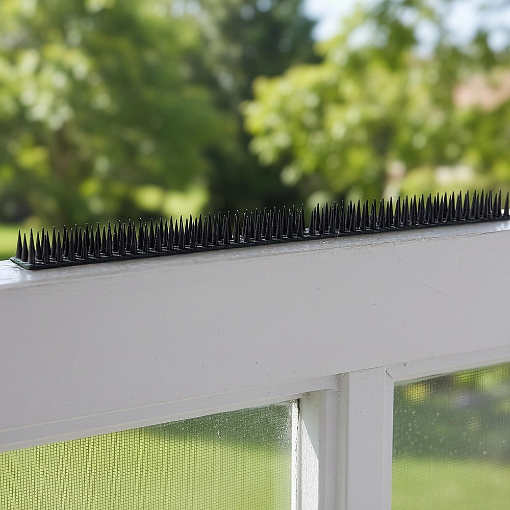 12pc Bird Spikes Human Cat Possum Mouse Pest Control Spiked Fence Wall Deterrent V63-837291