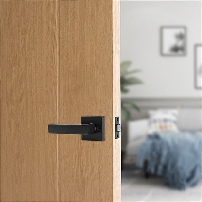Door Handle Set Lever Passage Function Square Black V63-837391