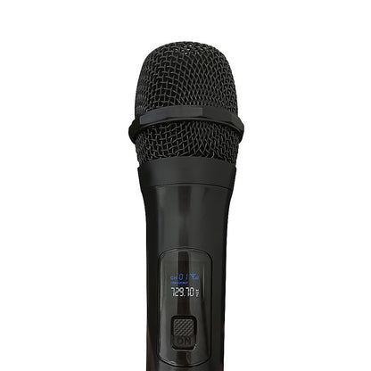 2 x Wireless Microphone Handheld Cordless Professional Mic Karaoke Receiver V63-840341