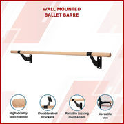 Wall Mounted Ballet Barre V63-841701
