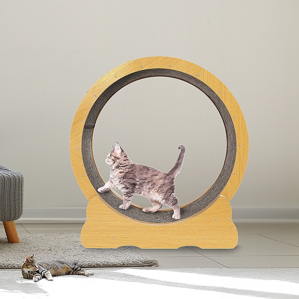 Cat Running Wheel w/ Carpet Runway Cat Exercise Wheel for Fitness Cat Treadmill V63-841891