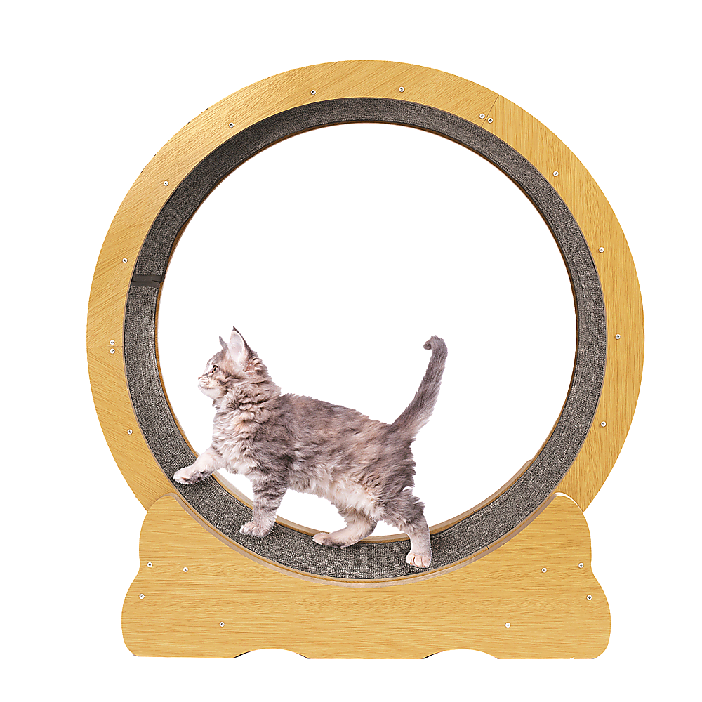 Cat Running Wheel w/ Carpet Runway Cat Exercise Wheel for Fitness Cat Treadmill V63-841891