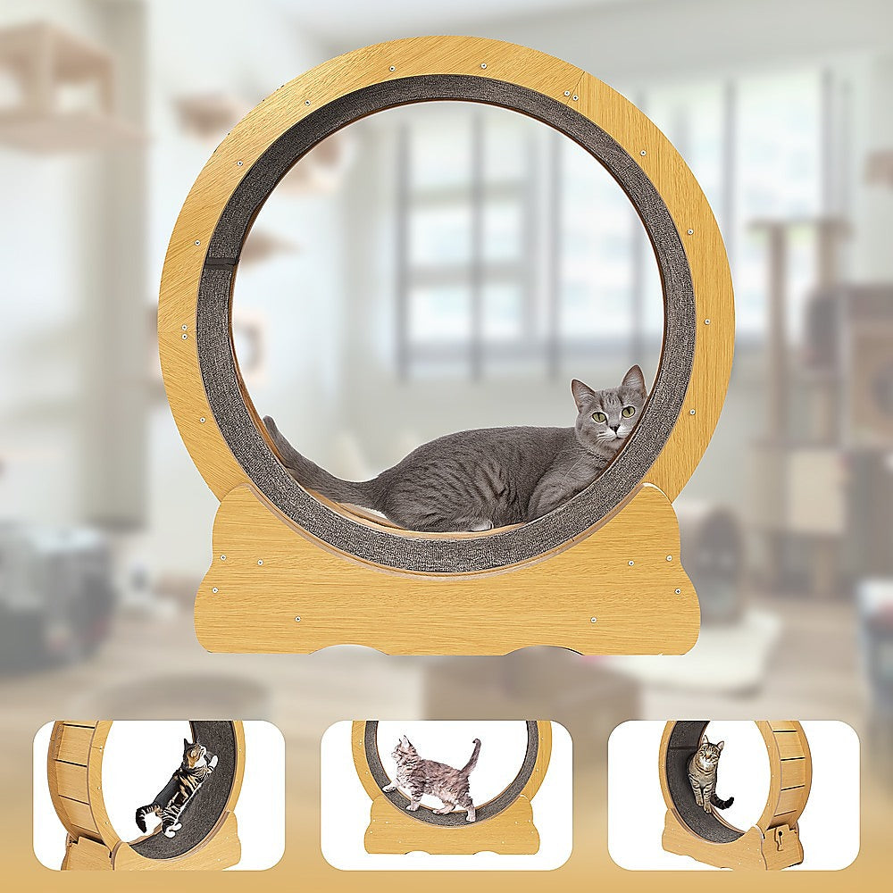 Cat Running Wheel w/ Carpet Runway Cat Exercise Wheel for Fitness Cat Treadmill V63-841891