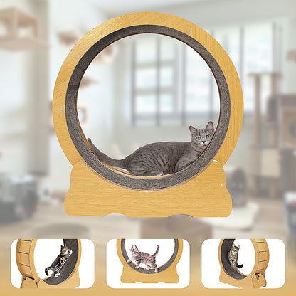 Cat Running Wheel w/ Carpet Runway Cat Exercise Wheel for Fitness Cat Treadmill V63-841891
