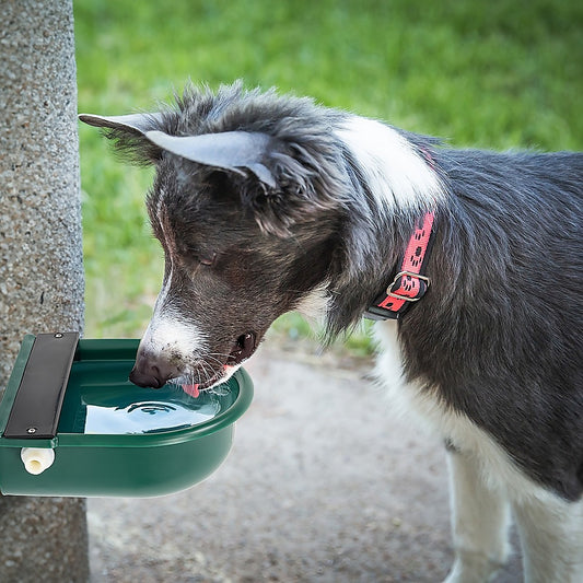 4L Water Trough Bowl with Automatic Float Valve V63-841941