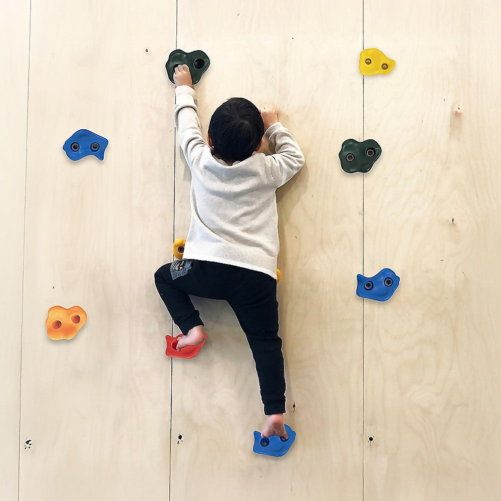 Deluxe 10 x Holds for Rock Climbing Wall Kids Outdoor Playground V63-842221