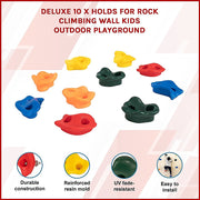 Deluxe 10 x Holds for Rock Climbing Wall Kids Outdoor Playground V63-842221