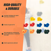 Deluxe 10 x Holds for Rock Climbing Wall Kids Outdoor Playground V63-842221