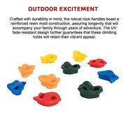 Deluxe 10 x Holds for Rock Climbing Wall Kids Outdoor Playground V63-842221