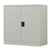Two-Door Metal Short Cabinet Shelf Storage for Home Office Gym V63-844381