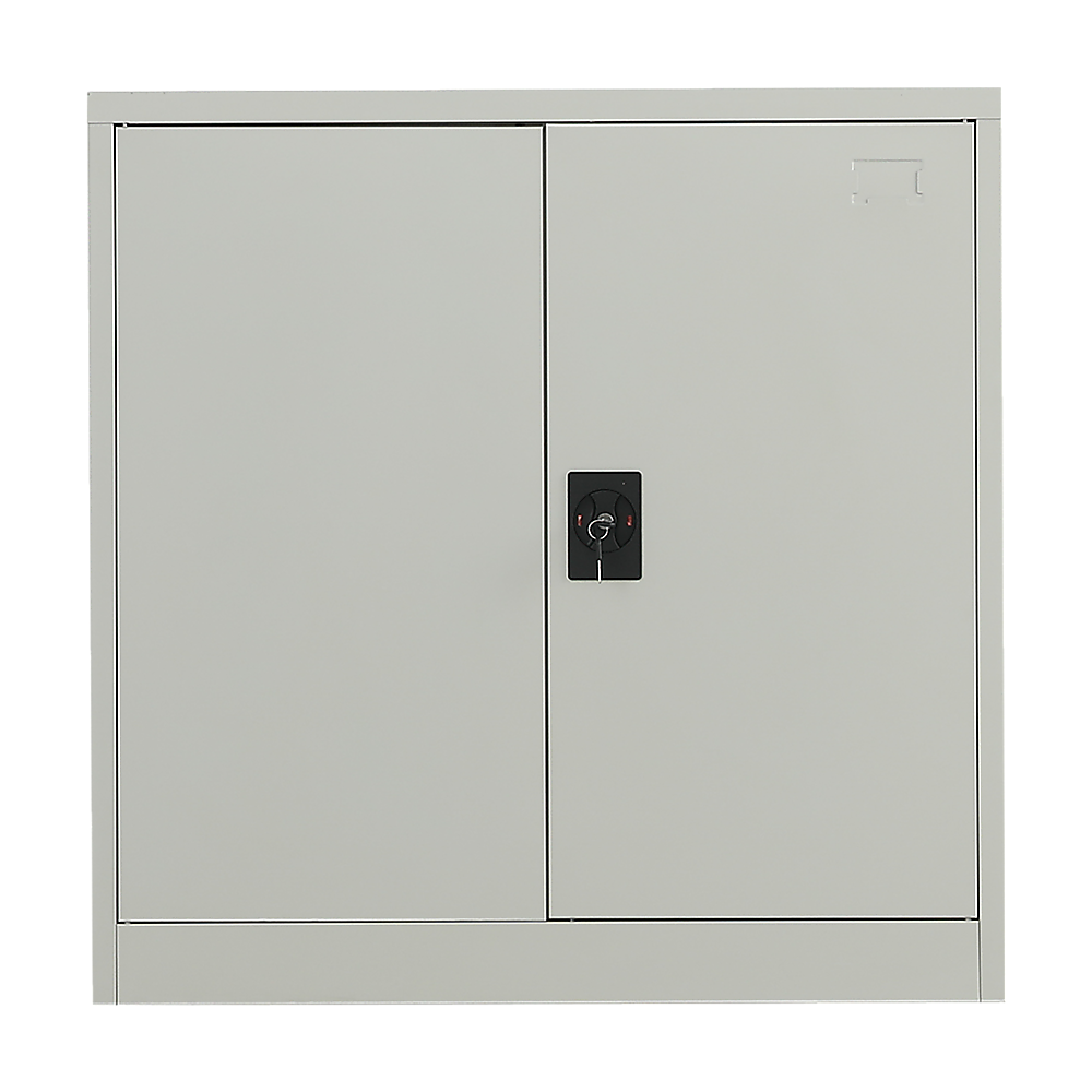 Two-Door Metal Short Cabinet Shelf Storage for Home Office Gym V63-844381