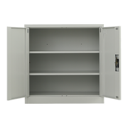 Two-Door Metal Short Cabinet Shelf Storage for Home Office Gym V63-844381