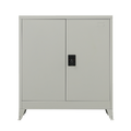 Two-Door Metal Short Cabinet Shelf Storage for Home Office Gym V63-844391
