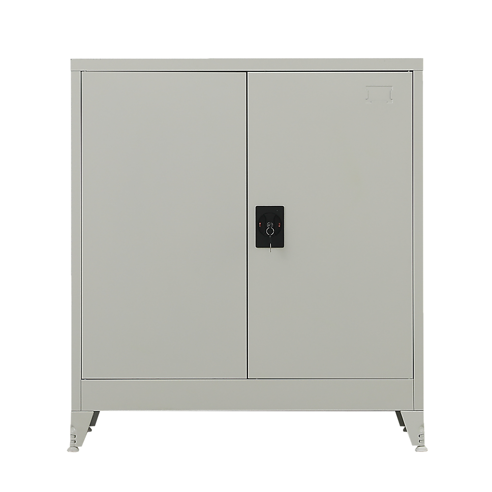 Two-Door Metal Short Cabinet Shelf Storage for Home Office Gym V63-844391