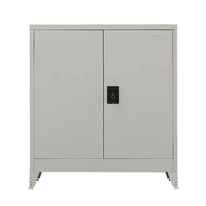 Two-Door Metal Short Cabinet Shelf Storage for Home Office Gym V63-844391