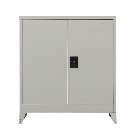 Two-Door Metal Short Cabinet Shelf Storage for Home Office Gym V63-844391
