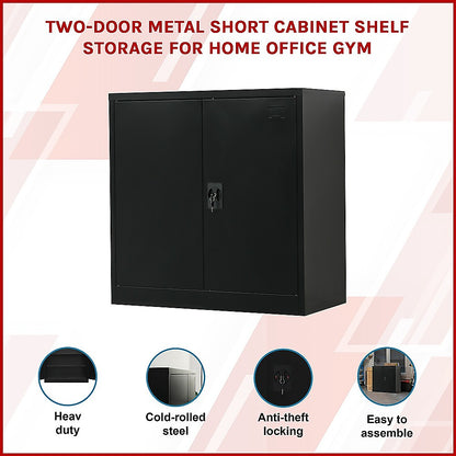 Two-Door Metal Short Cabinet Shelf Storage for Home Office Gym V63-844401