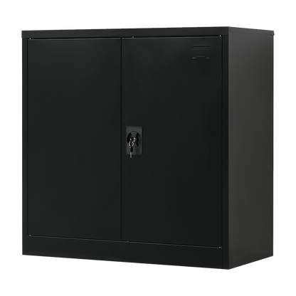 Two-Door Metal Short Cabinet Shelf Storage for Home Office Gym V63-844401