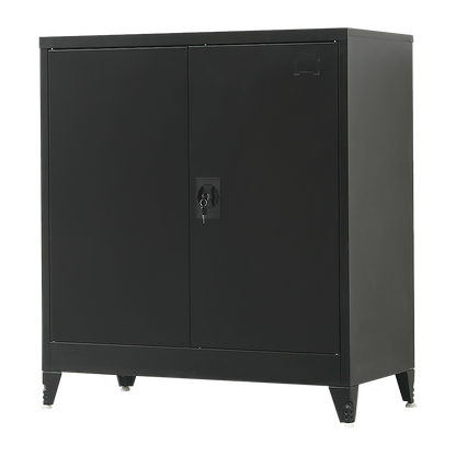 Two-Door Metal Short Cabinet Shelf Storage for Home Office Gym V63-844411