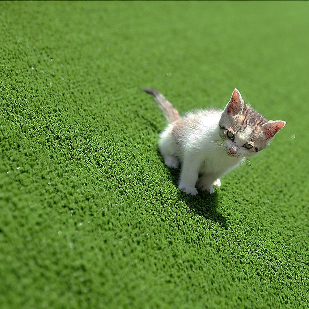 200cm x 250cm Lawn Turf Artificial Grass Mat Carpet Fake Synthetic Garden Landscape V63-844521