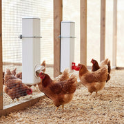 Chicken Bird Feeder Water Dispenser Automatic Waterer Poultry Food Drinker 4L V63-849561