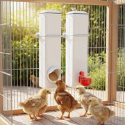 Chicken Bird Feeder Water Dispenser Automatic Waterer Poultry Food Drinker 4L V63-849561