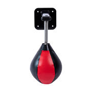 Wall Hanging Boxing Punching Bag Speed Training Stress Relief Kit with Wall Mount Bracket V63-916201