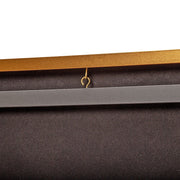 Wall Display/Case Lockable Rack 80cm Football Basketball Jersey Storage Box in Gold V63-920851