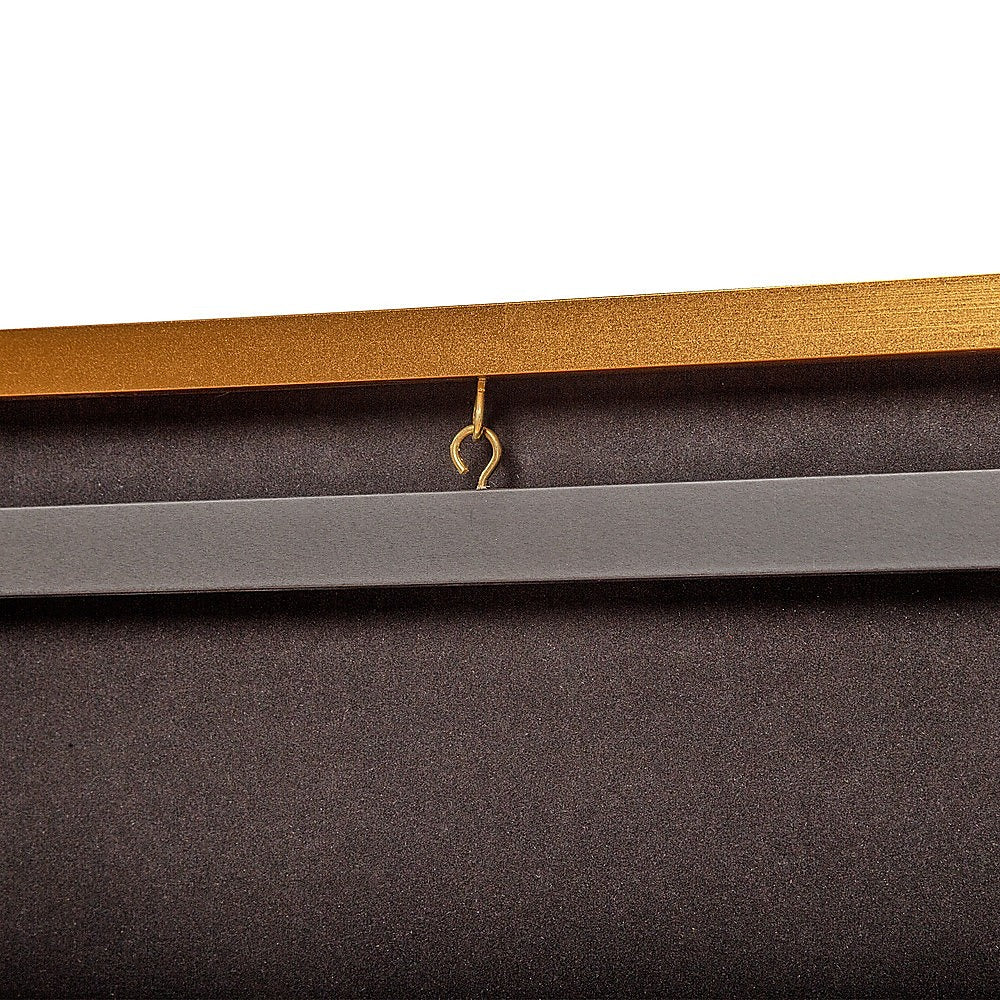 Wall Display/Case Lockable Rack 80cm Football Basketball Jersey Storage Box in Gold V63-920851