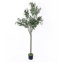 150cm Artificial Olive Tree - Tall Realistic Faux Green Indoor Plant for Home & Office V63-931361