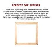 50x Canvas Stretcher Bars Frames Pine Wood V63-952551