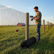 30m Black Chicken Wire Mesh Roll - Heavy Duty Aviary Netting & Garden Fencing for Poultry Enclosures V63-952941