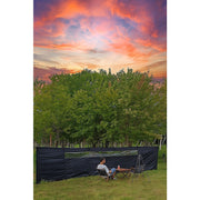 Camping Windbreak with Clear Windows & Carry Bag 725x140cm Black Outdoor Privacy Shelter V63-953281
