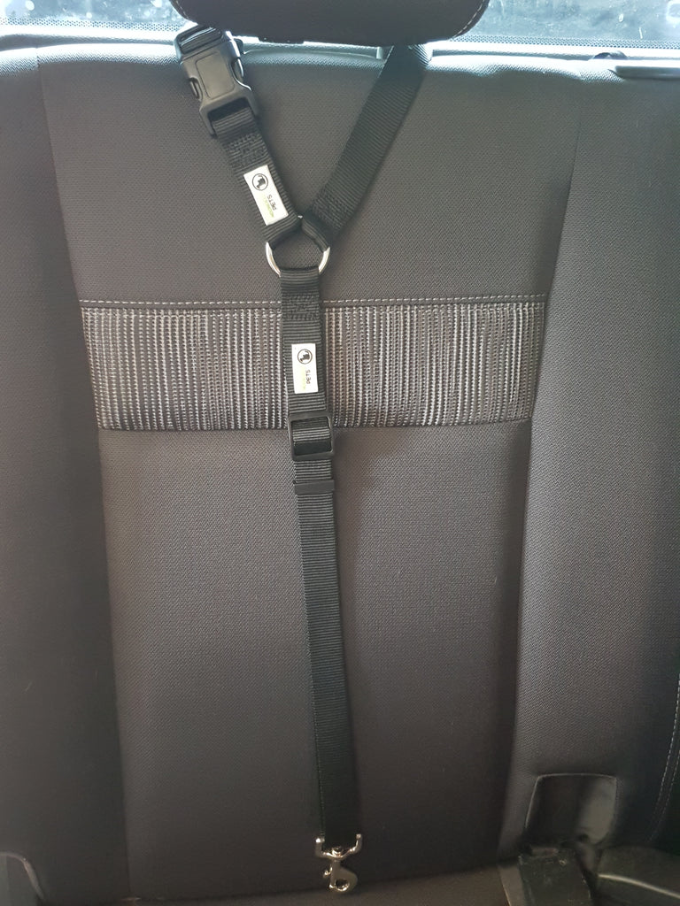 Dog Seatbelt Headrest Restraint Safety Travel - Moondidley Pets Black V631-MDPHRSBBK