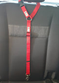 Dog Seatbelt Headrest Restraint Safety Travel - Moondidley Pets Red V631-MDPHRSBRD