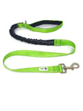 Bungee Dog Lead Nylon w/Reflective Stitching - Moondidley Pets Green V631-MDPLDBUNGR