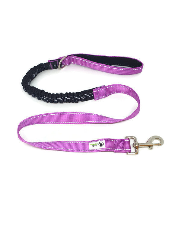 Bungee Dog Lead Nylon w/Reflective Stitching - Moondidley Pets Purple V631-MDPLDBUNPUR