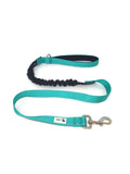 Bungee Dog Lead Nylon w/Reflective Stitching - Moondidley Pets Turquoise V631-MDPLDBUNTQ