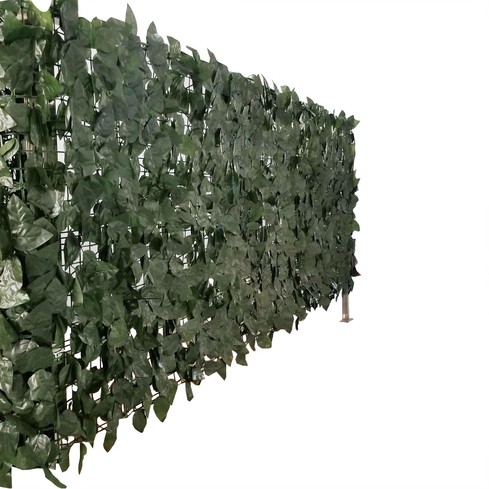 Artificial Ivy Leaf Hedging 3M x 1M Roll (Fake Ivy Roll) V637-1006477