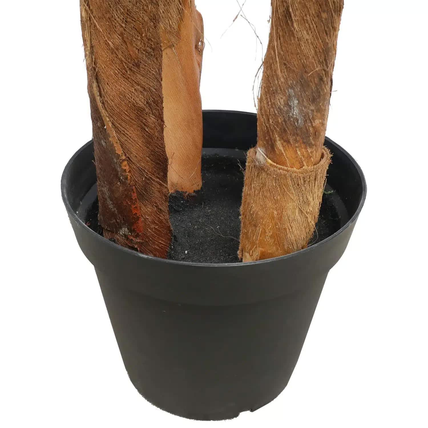 Large Tropical Palm Tree (Amazingly Real) 300cm V637-1009700