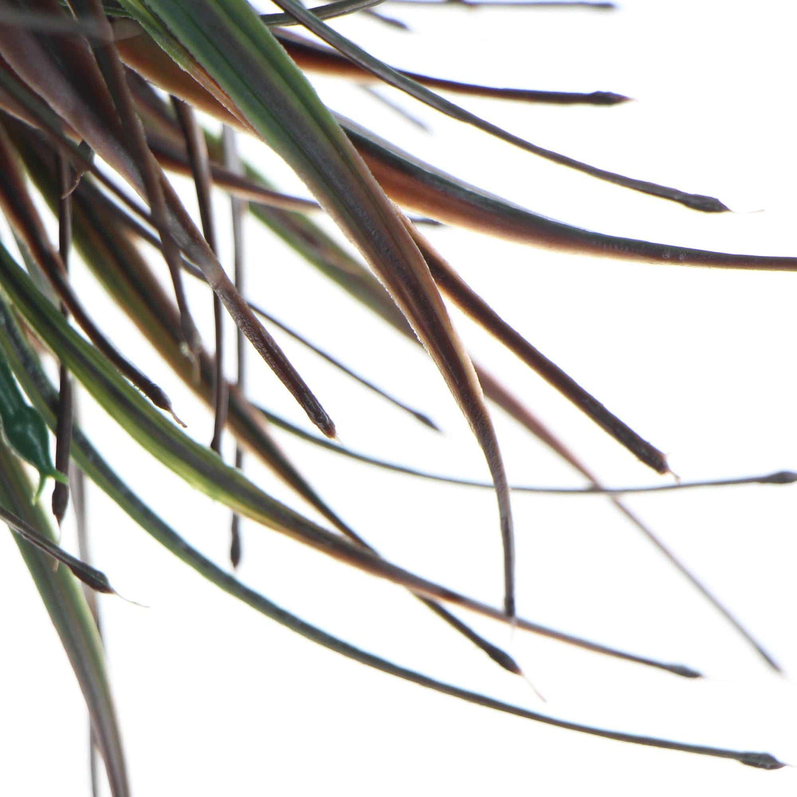 Artificial Brown Tipped Grass Plant UV Resistant 35cm V637-1016083