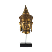 Buddha Statue Head On Stand 60cm V637-20958