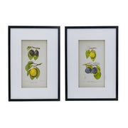 Set 2 Botanical Wall Decor 70cm V637-20984