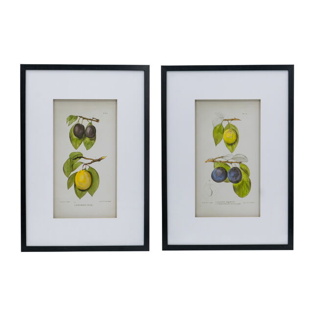 Set 2 Botanical Wall Decor 70cm V637-20984