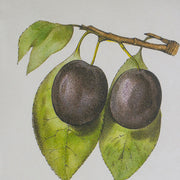 Set 2 Botanical Wall Decor 70cm V637-20984