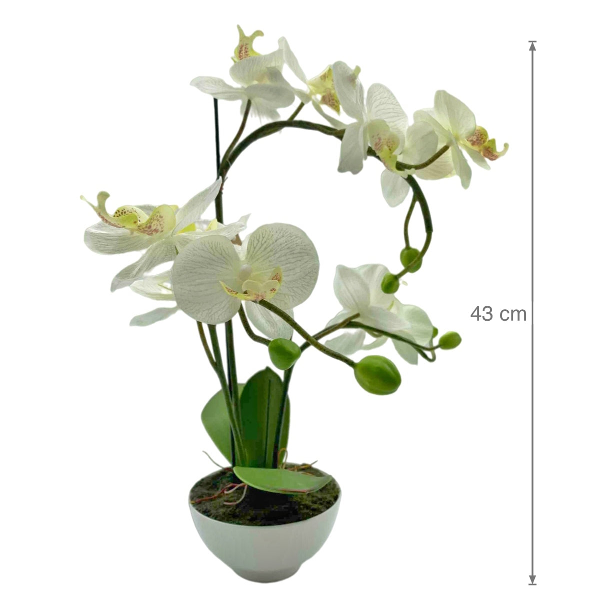 Artificial Orchid w Ceramic Base 44cm V637-AFL17433