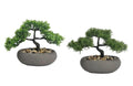 Set 2 Artificial Bonsai in Ceramic Pot Assort 30cm V637-AFL20802