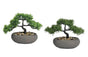 Set 2 Artificial Bonsai in Ceramic Pot Assort 30cm V637-AFL20802